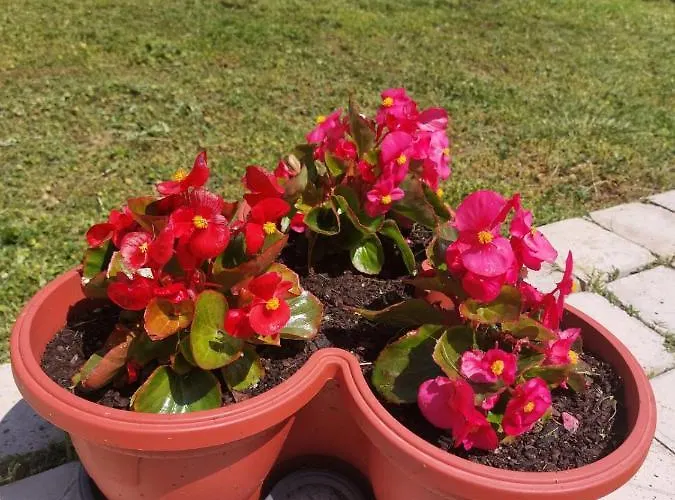 Star - Free Private Parking * Zadar