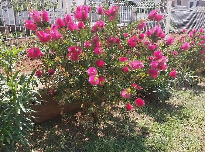 Star - Free Private Parking Daire *